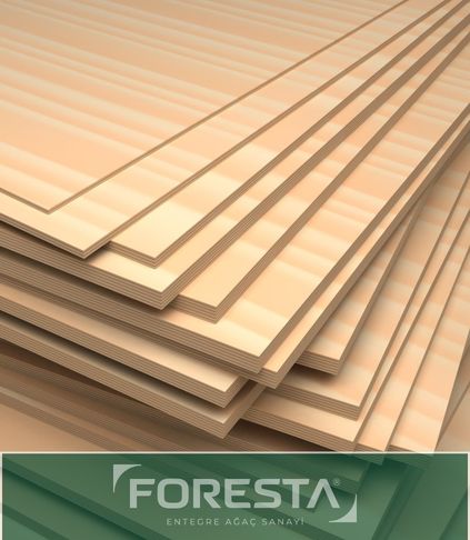 Kontraplak - Foresta Entegre
